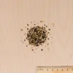 Mélanges de fleurs - Gazon Japonais - 10 m² - Mélange de fleurs - MEDIA_3D
